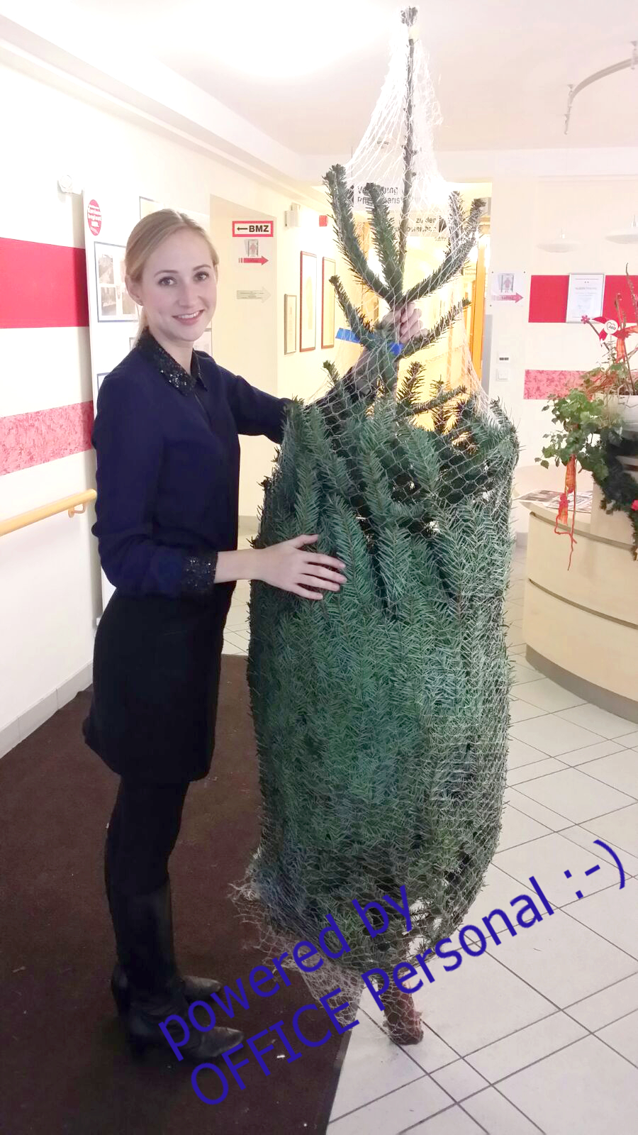 OFFICE Personal sponsort Christbaum im Pflegeheim